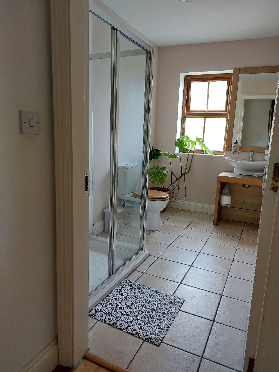 Bathroom downstairs