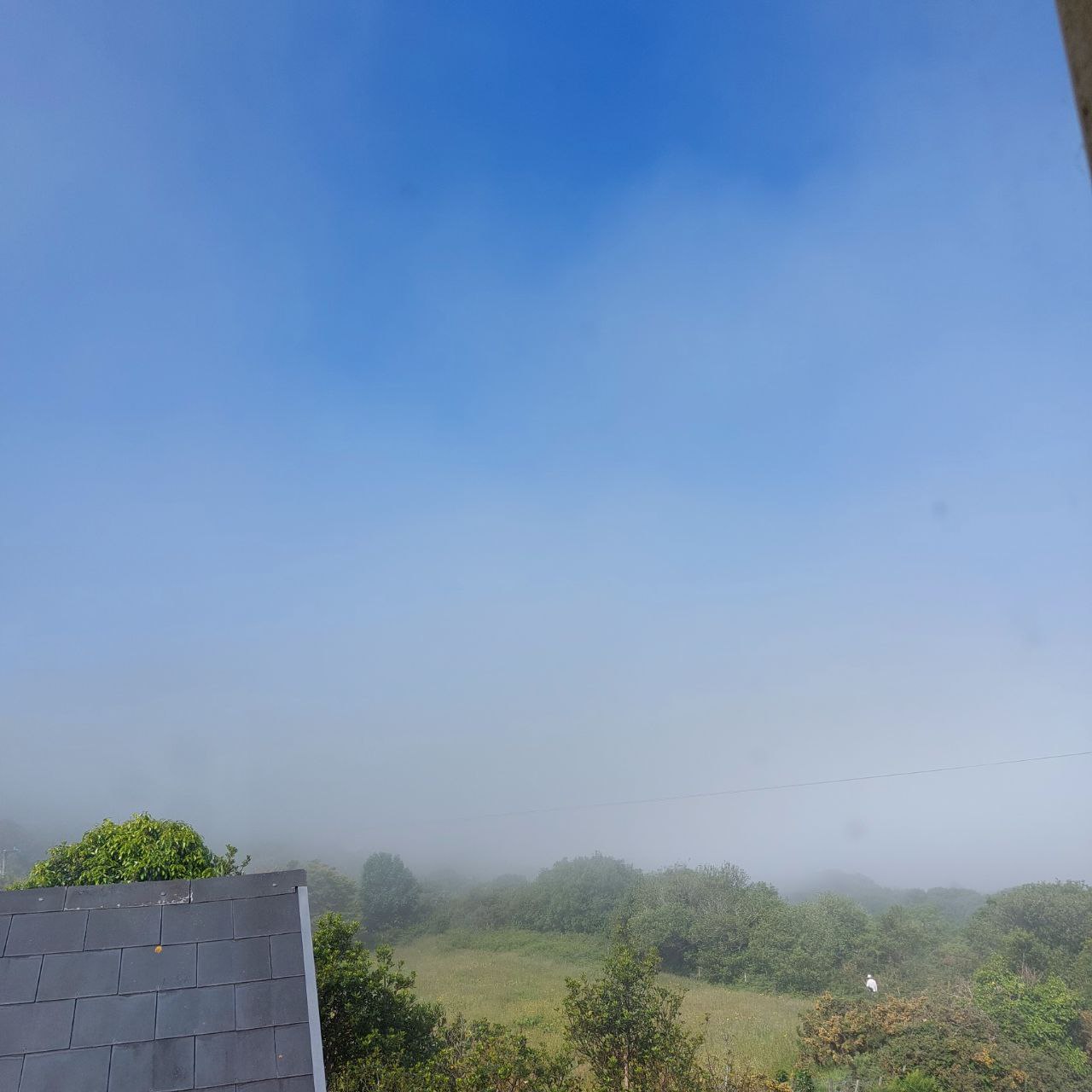 Weather